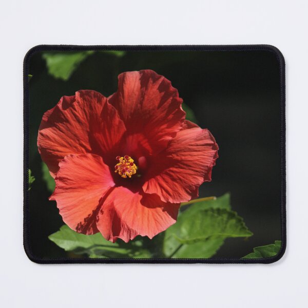 Item preview, Red Hibiscus  designed and sold by MagicMagpie.