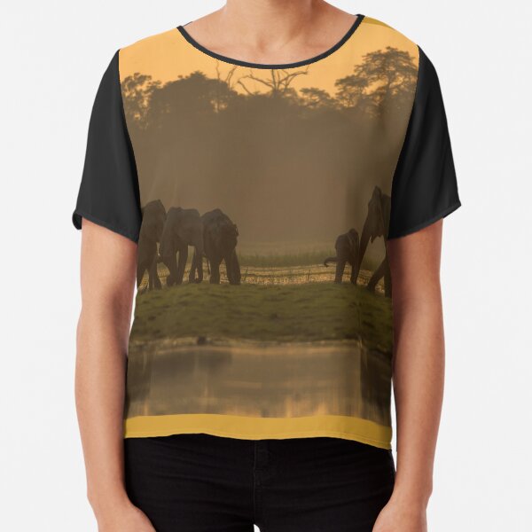 Chiffon Top