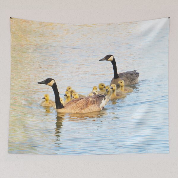 Item preview, Family Afloat Canada Geese & Goslings No.2 designed and sold by MaryLinH.