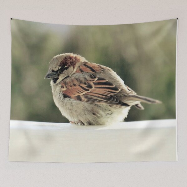 Item preview, Moment of Rest - House Sparrow designed and sold by MaryLinH.