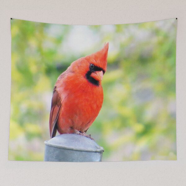 Item preview, Musing - Male Cardinal designed and sold by MaryLinH.