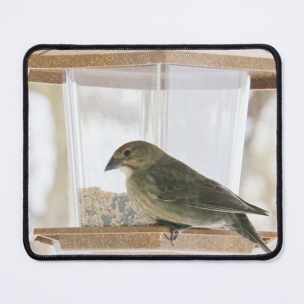 Item preview, Seeds of Plenty - Brown Headed Cowbird designed and sold by MaryLinH.