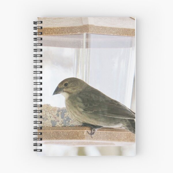 Item preview, Seeds of Plenty - Brown Headed Cowbird designed and sold by MaryLinH.