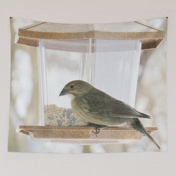 Item preview, Seeds of Plenty - Brown Headed Cowbird designed and sold by MaryLinH.