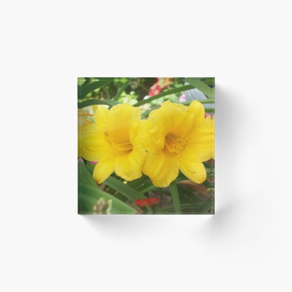 Double Sunshine Acrylic Block