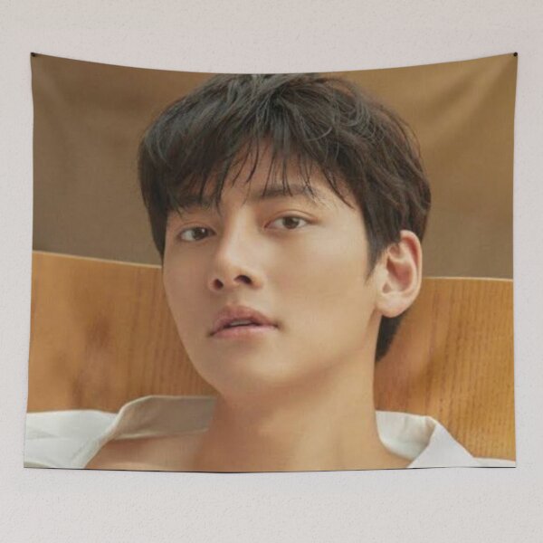 Item preview, Ji Chang Wook  designed and sold by OtakuPH.