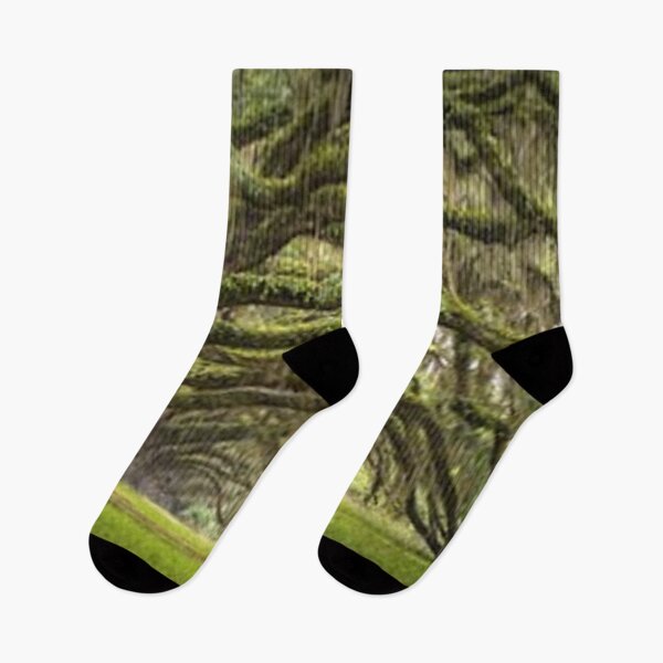 Item preview, Oak Trees Forest designed and sold by artistworks512.