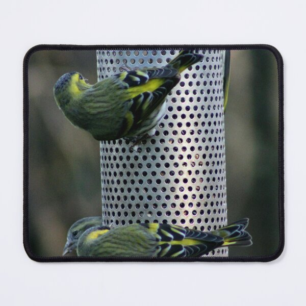 Item preview, goldfinch designed and sold by KathleenDawson.