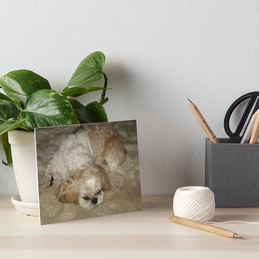 Shih Tzu Sleeping Pillow