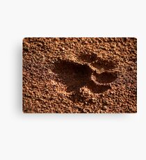 Panthera Leo Canvas Print