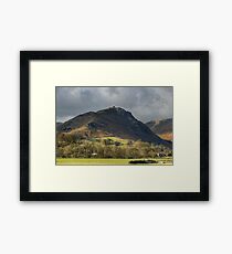 The Lion And The Lamb Framed Print