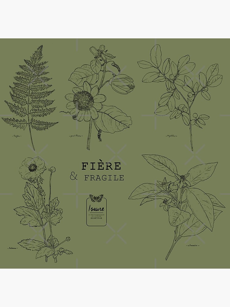 Aperçu 4 sur 4. Coussin avec l'œuvre FIERE & FRAGILE créée et vendue par IsaureEcartfixe.