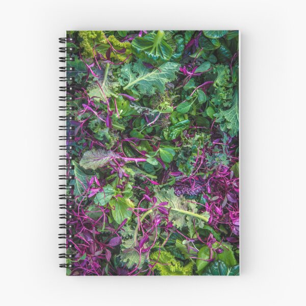 Item preview, salad designed and sold by alan shapiro.