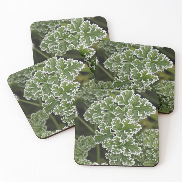 Item preview, Frosty Parsley designed and sold by cuprum.