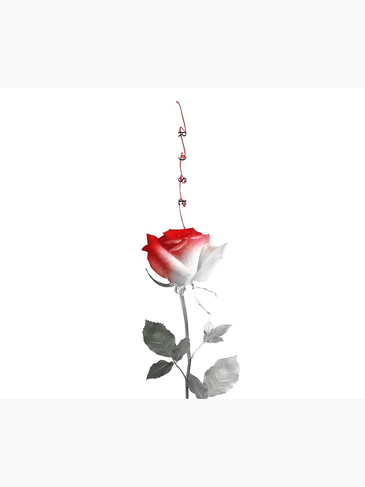 B.A.P B.A.P 6thシングル - Rose サイン　未開封 jp.ktown4u.com : [A バージョン]B.A.P - シングル6集アルバム [ROSE]