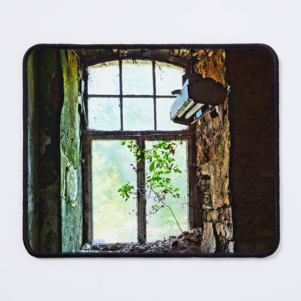 Item preview, Urbex Photography | Colorful window with tree designed and sold by Cora Wirth.