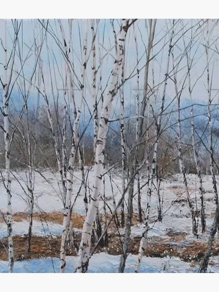 Poster birch branches in the snow 