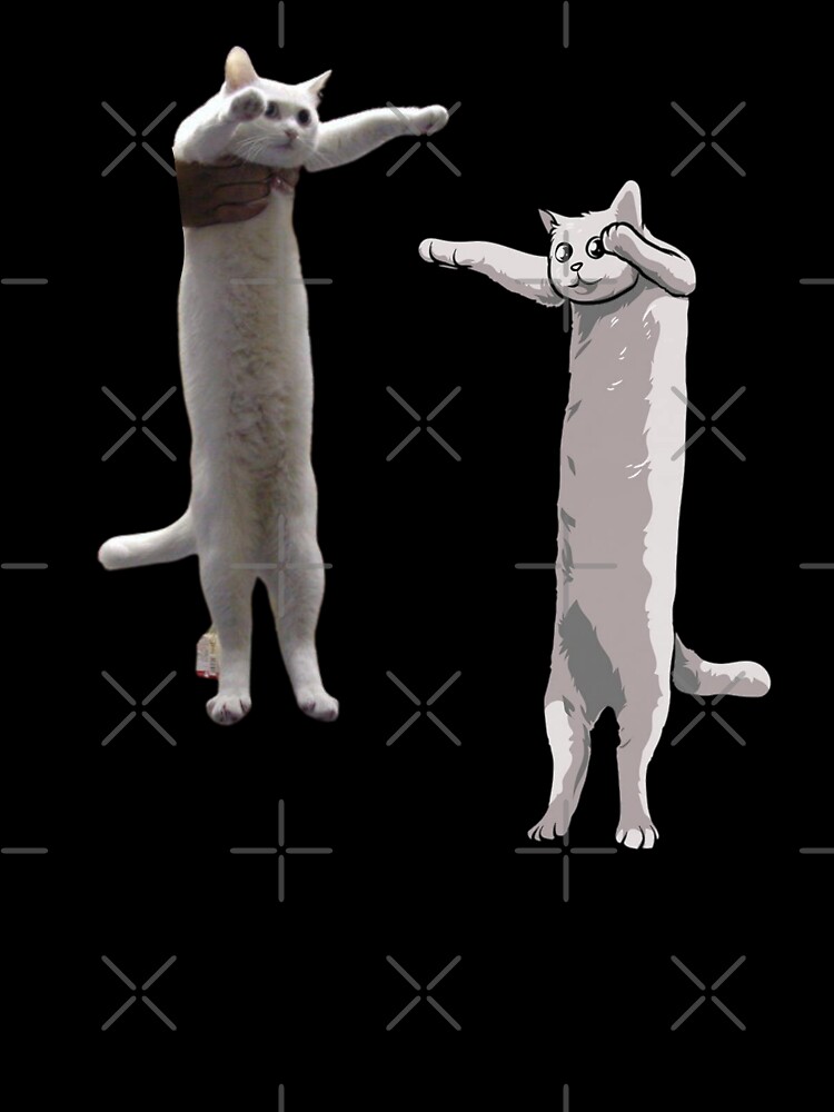 cats long legs Memes & GIFs - Imgflip
