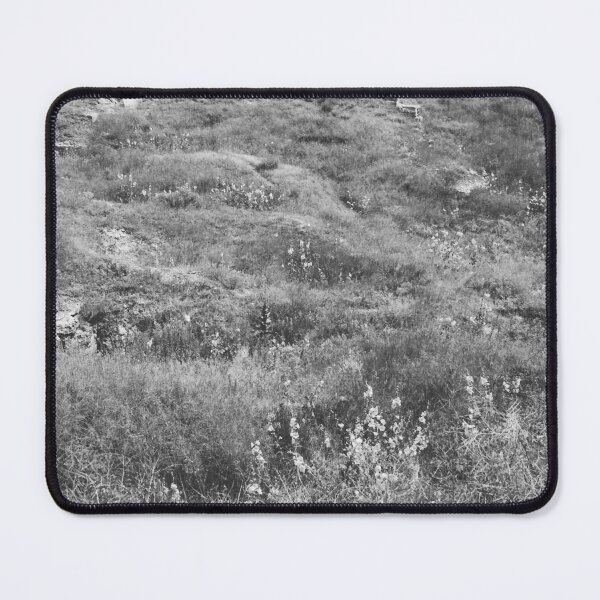 Item preview, Steppe on a bright summer day, natural background designed and sold by helenkaiy.