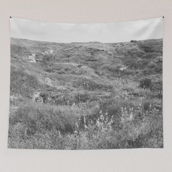 Item preview, Steppe on a bright summer day, natural background  designed and sold by helenkaiy.