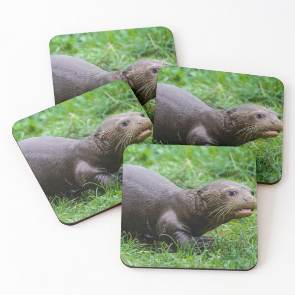 Item preview, Baby Otter Exploring its New Surroundings  designed and sold by LFPPhotography.