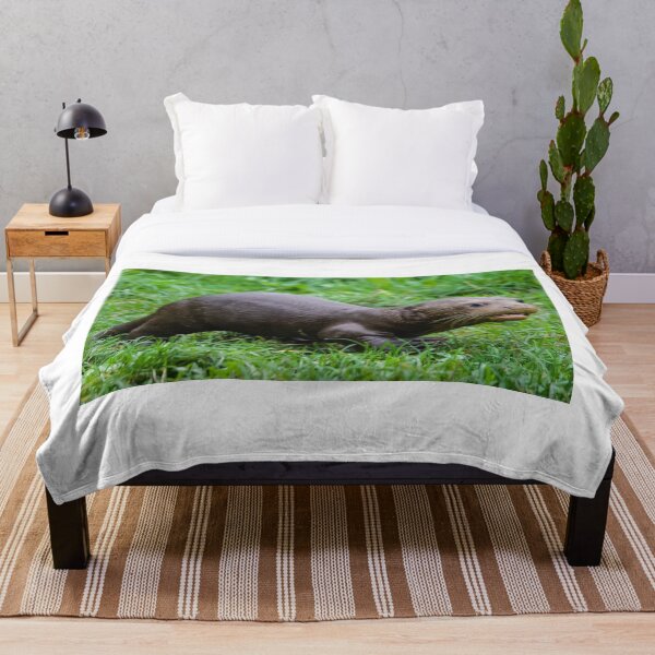 Item preview, Baby Otter Exploring its New Surroundings  designed and sold by LFPPhotography.