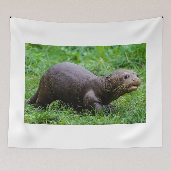 Item preview, Baby Otter Exploring its New Surroundings designed and sold by LFPPhotography.