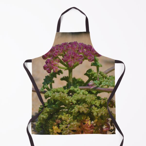 Item preview, Beach Succulent designed and sold by Fitra  Arts.