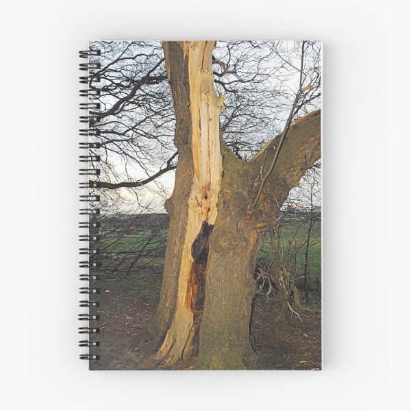 Item preview, Struck by Lightning, a tree in Norfolk. designed and sold by Billlee.