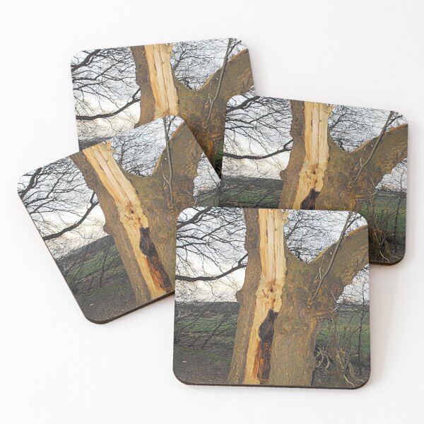 Item preview, Struck by Lightning, a tree in Norfolk. designed and sold by Billlee.