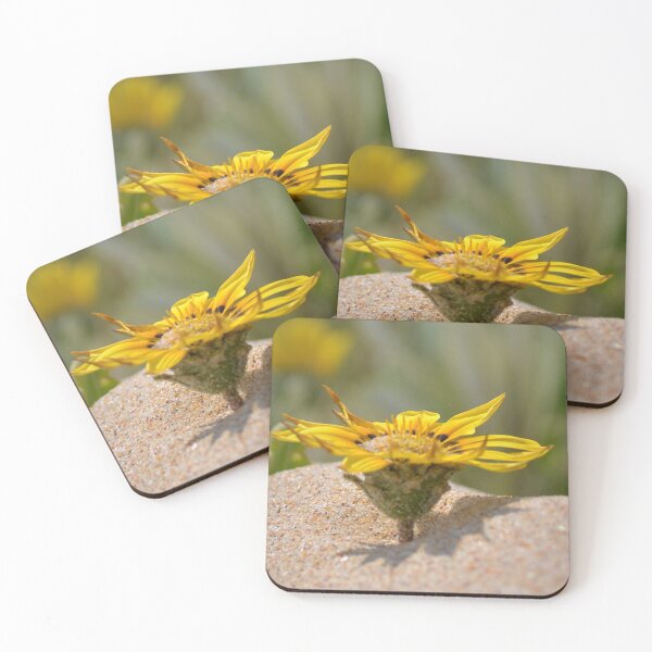 Item preview, Beach Gazania 3 designed and sold by Fitra  Arts.
