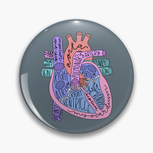 Item preview, anatomical heart designed and sold by AleeneFord.