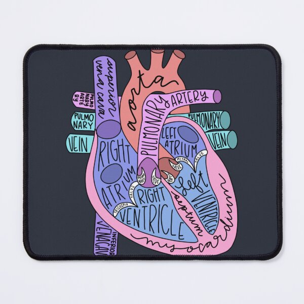 Item preview, anatomical heart designed and sold by AleeneFord.