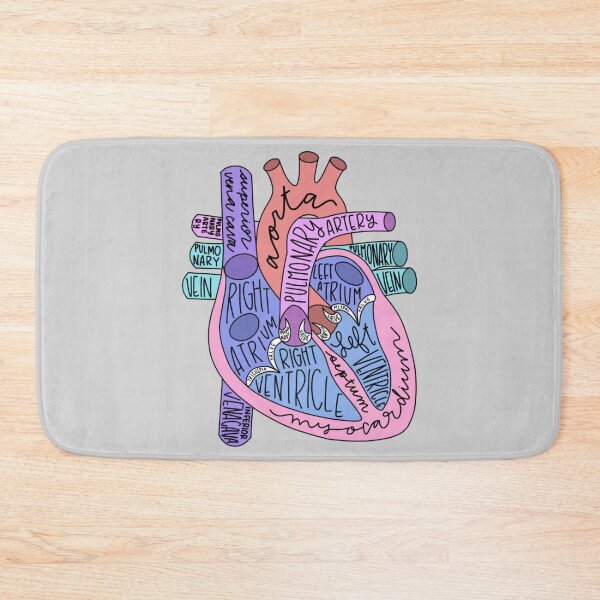 Item preview, anatomical heart designed and sold by AleeneFord.