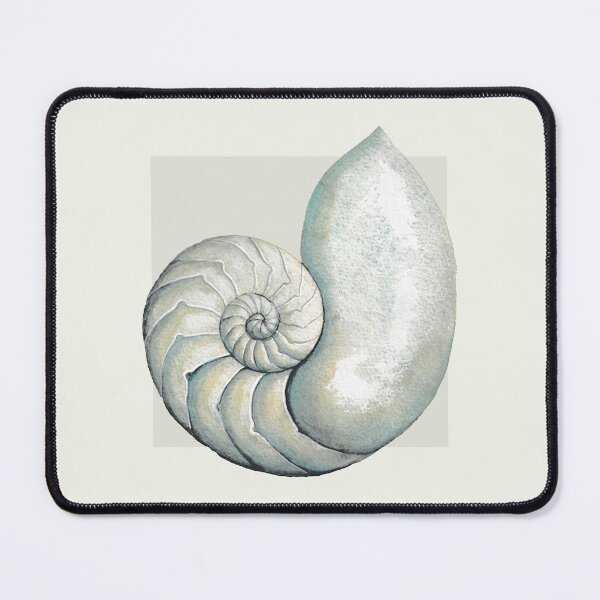 Item preview, Nautilus sea shell in neutral designed and sold by LisaLeQuelenec.