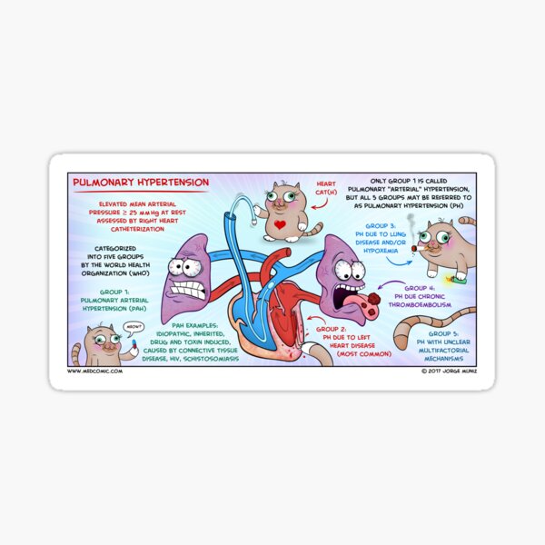 Pulmonary Hypertension Sticker