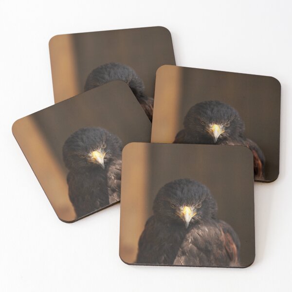 Item preview, Eye of the Canadian Eagle designed and sold by repolme.