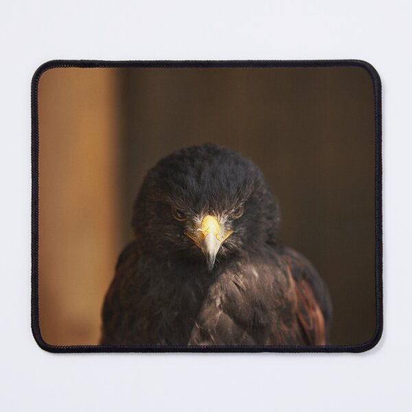 Item preview, Eye of the Canadian Eagle designed and sold by repolme.