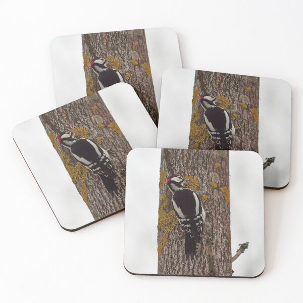 Item preview, January portrait.  Great spotted woodpecker designed and sold by Jouko Lehto Photography.