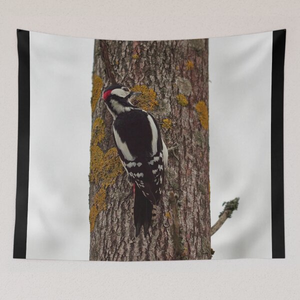 Item preview, January portrait.  Great spotted woodpecker designed and sold by Jouko Lehto Photography.