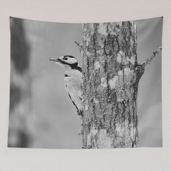 Item preview, Grayscale pure. Great spotted woodpecker designed and sold by Jouko Lehto Photography.