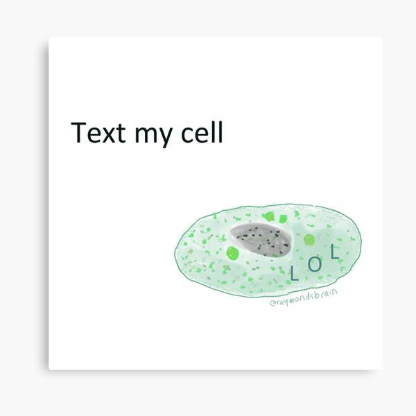 Text My Cell Canvas Print
