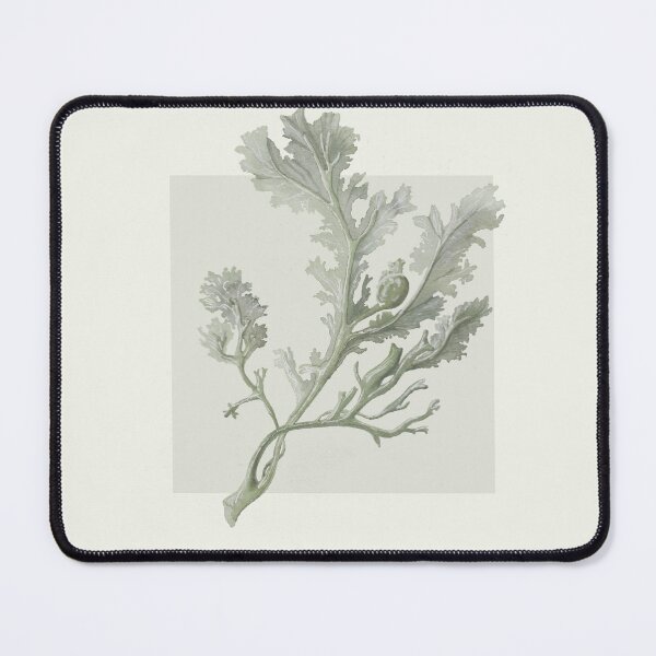 Item preview, Botanical seaweed in neutral designed and sold by LisaLeQuelenec.