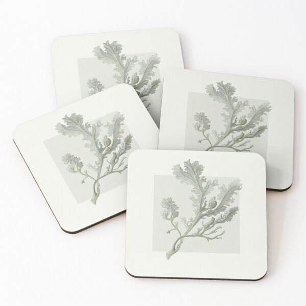 Item preview, Botanical seaweed in neutral designed and sold by LisaLeQuelenec.