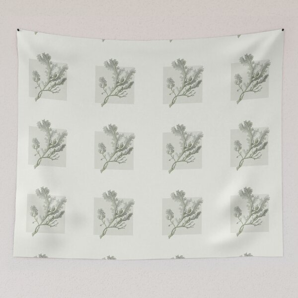 Item preview, Botanical seaweed in neutral designed and sold by LisaLeQuelenec.