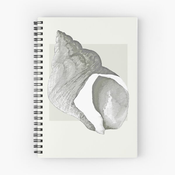 Item preview, Whelk shell in neutral designed and sold by LisaLeQuelenec.