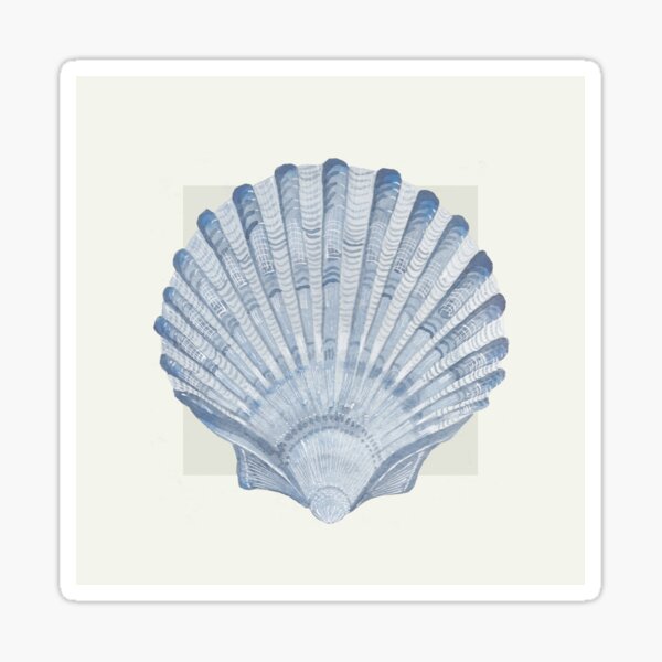 Scallop sea shell in blue and neutral Sticker