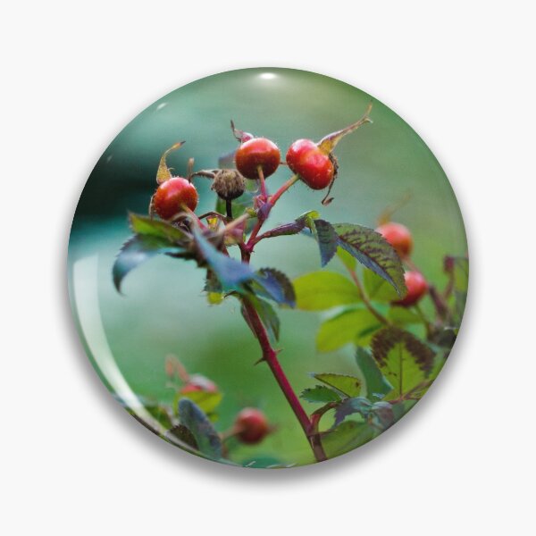 Item preview, Rose Hips designed and sold by lghtwrkr.