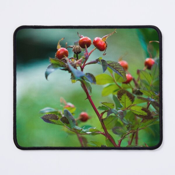 Item preview, Rose Hips designed and sold by lghtwrkr.