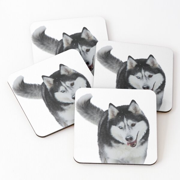 Item preview, Cute Siberian Husky with snow oh his nose designed and sold by myhuskymax.
